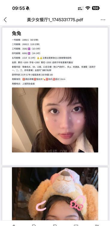 杭州上城兔兔