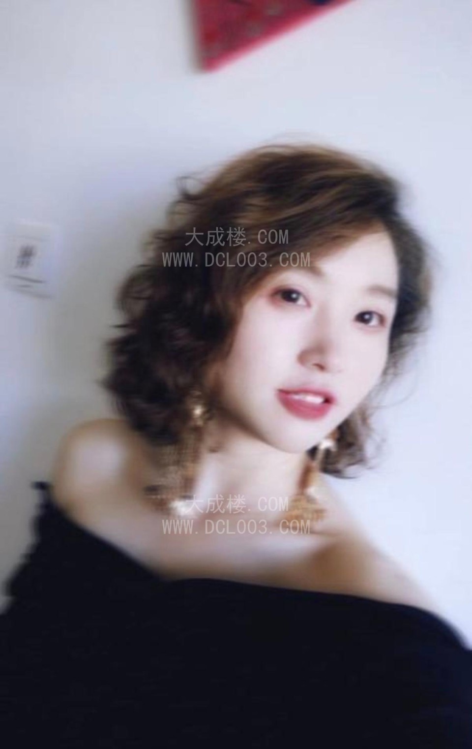 南山小野猫